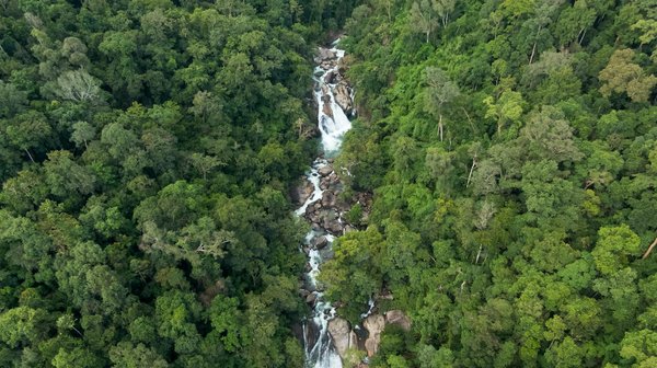 Crise sociale et développement des technologies