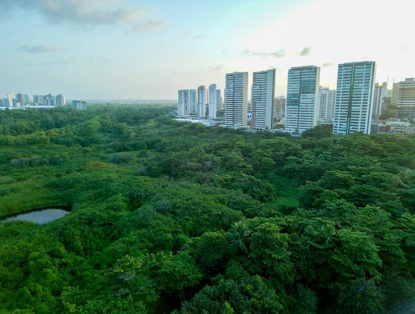 Crise climatique et mouvement vert : Comprendre la corrélation