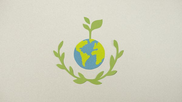 Créez Votre Propre Marché de Producteurs Locaux : Mode d'Emploi Pratique pour Votre Quartier